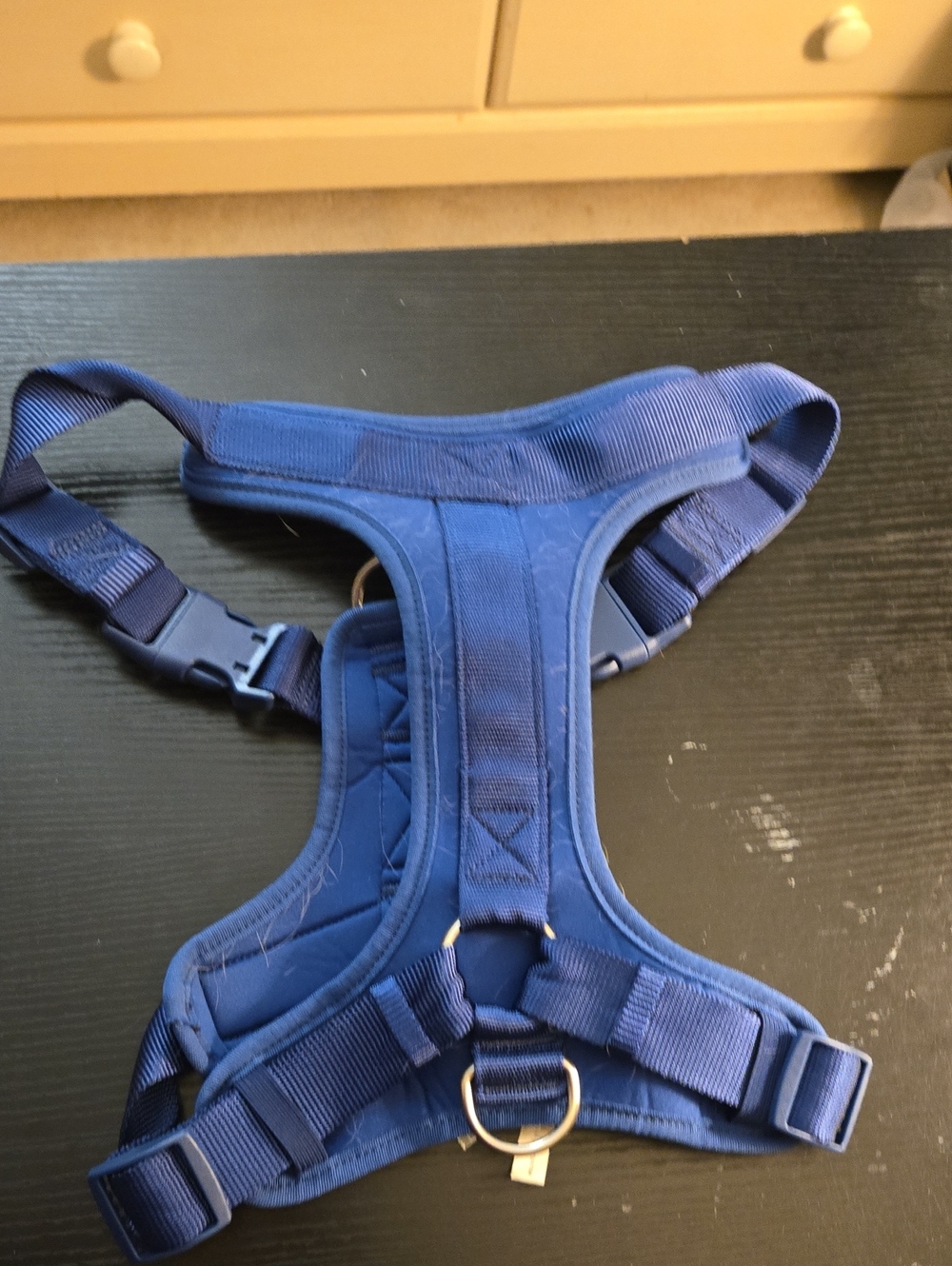 No-Pull Dog Harness - Navy Blue